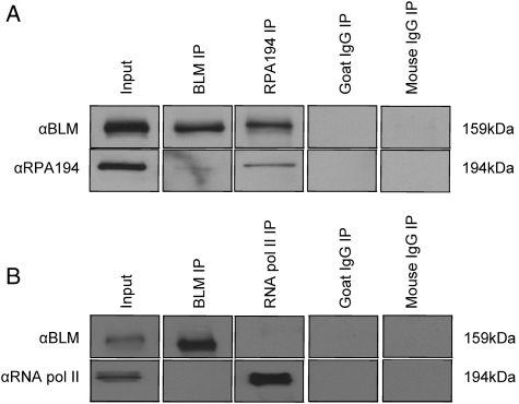 Figure 2.