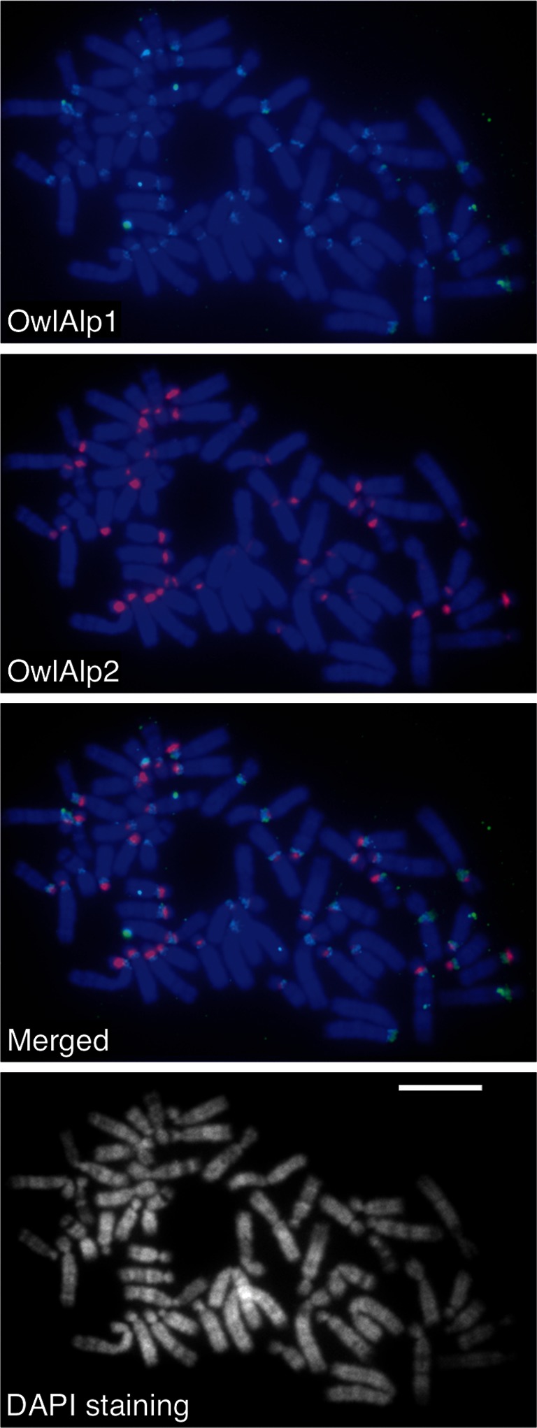 Figure 3.