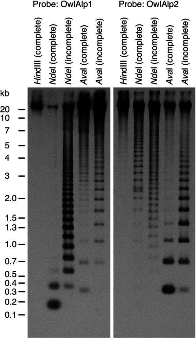 Figure 2.