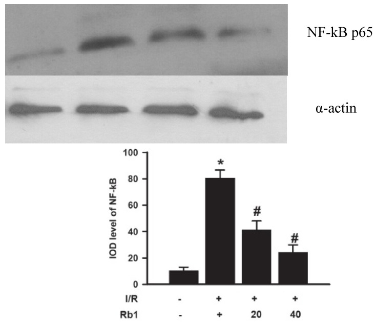 Figure 9