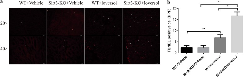 Fig. 6