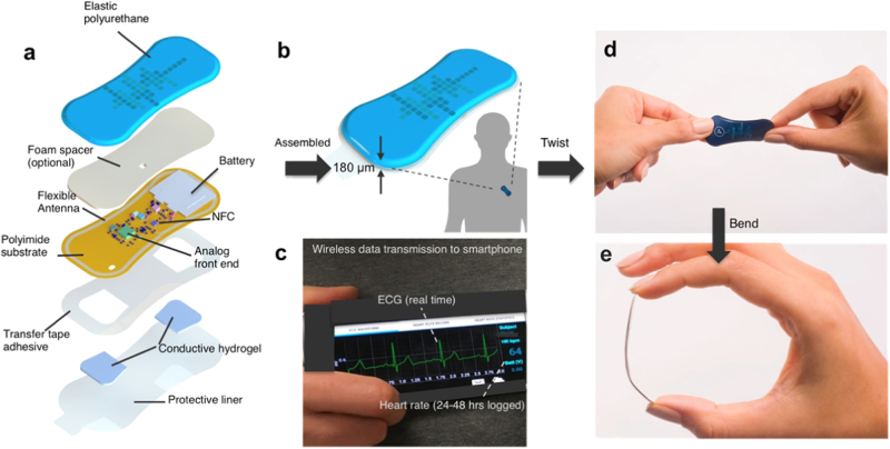 Fig. 1