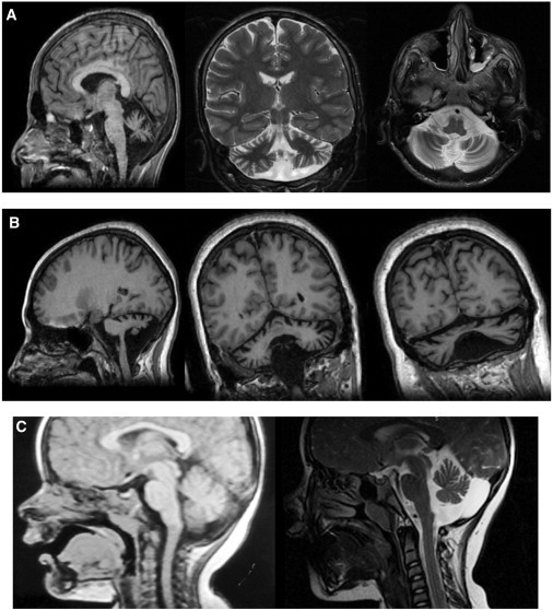 Figure 2