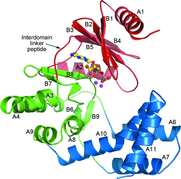 Figure 2