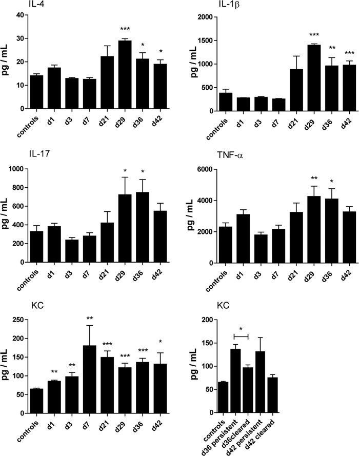 FIG 6