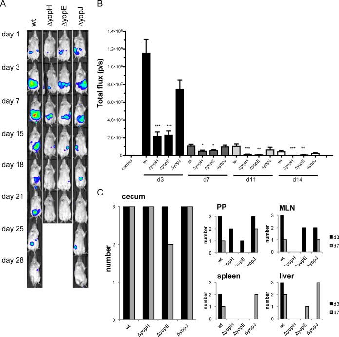 FIG 3