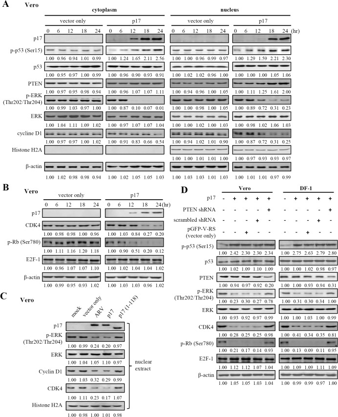 Fig 8