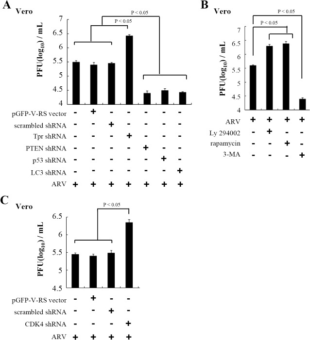 Fig 10