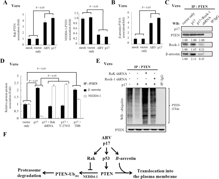 Fig 7