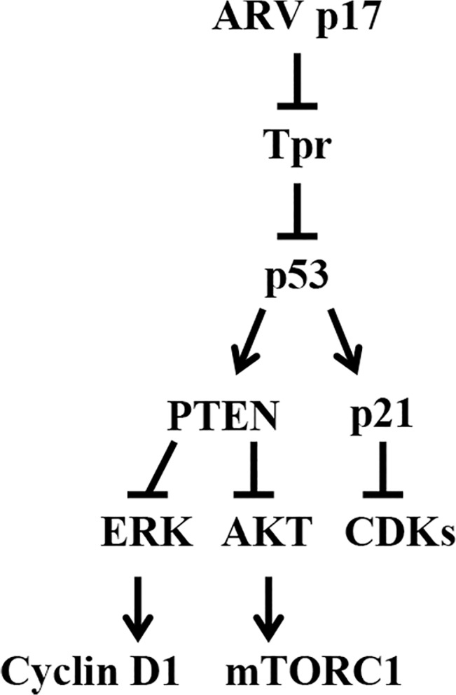 Fig 11