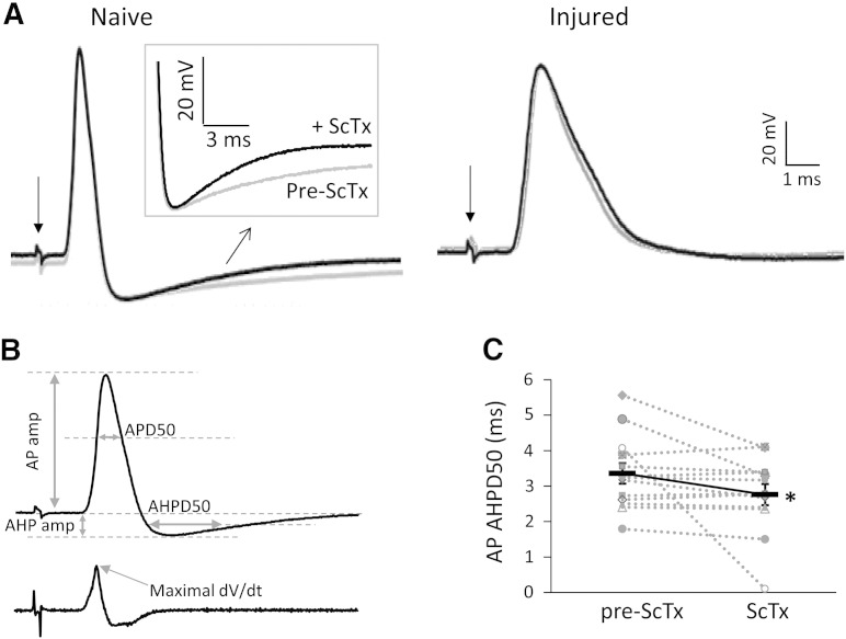 Fig. 5