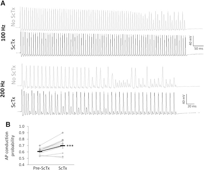 Fig. 7