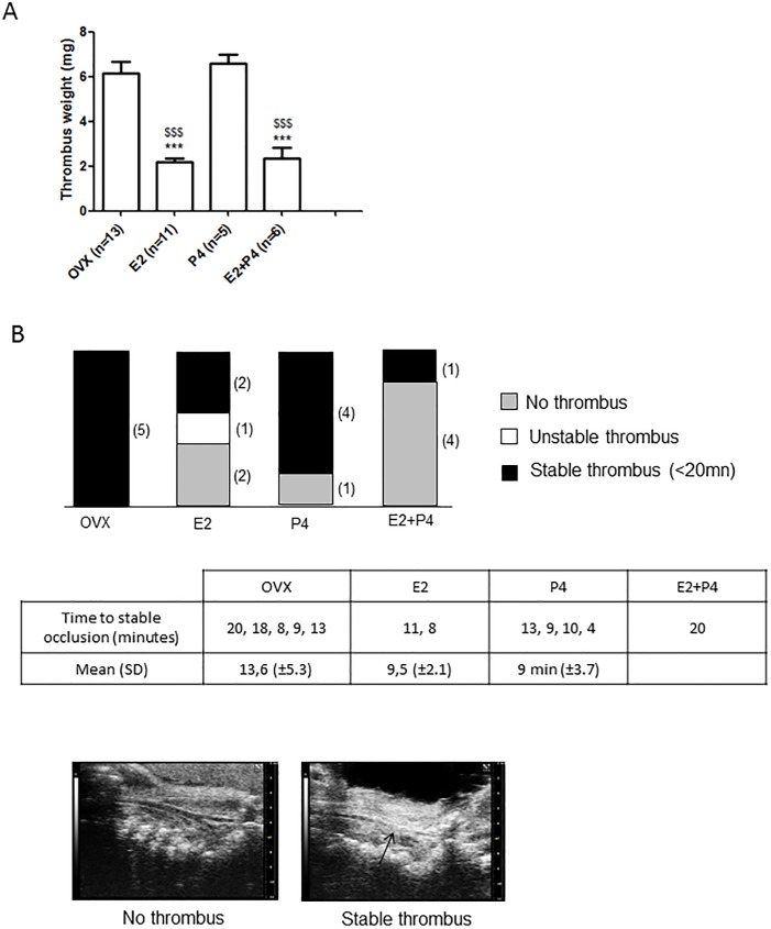 Fig 4