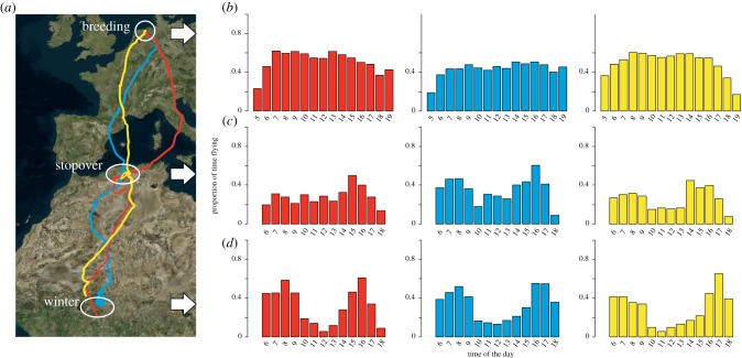 Figure 2.