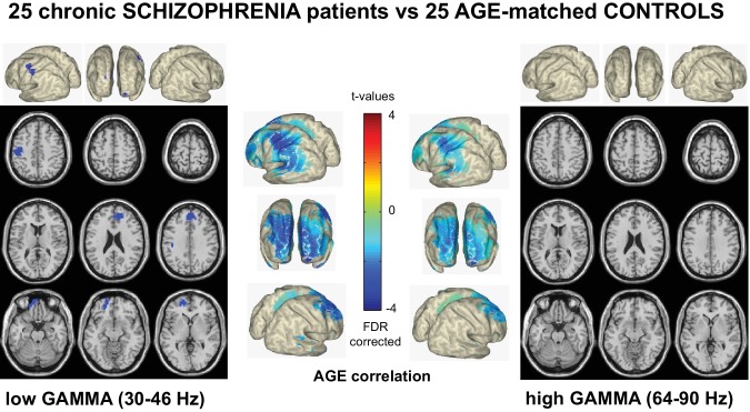 Figure 4—figure supplement 1.