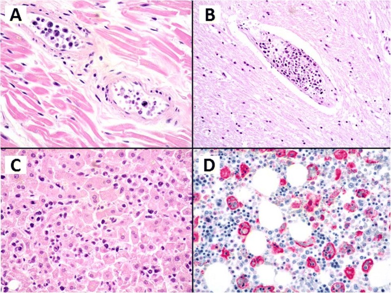 Fig. 2