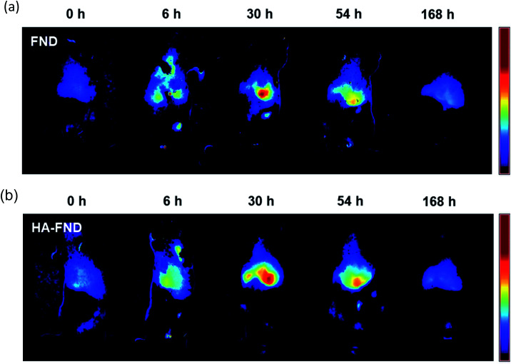 Fig. 6