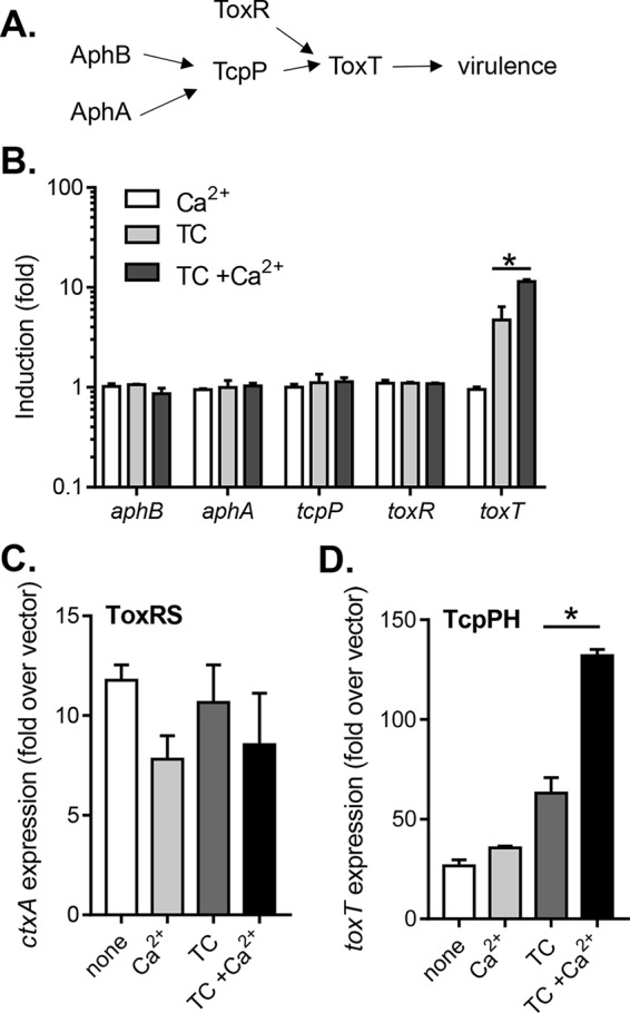 FIG 2