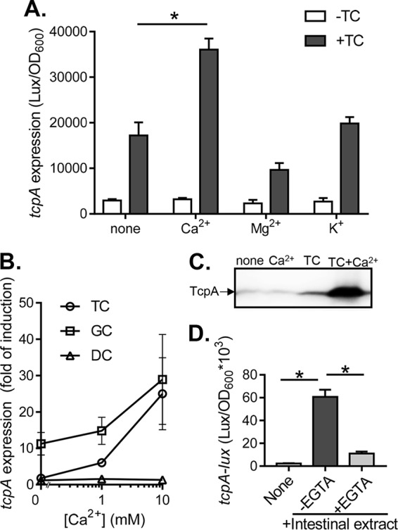 FIG 1