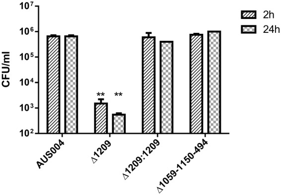 Figure 6