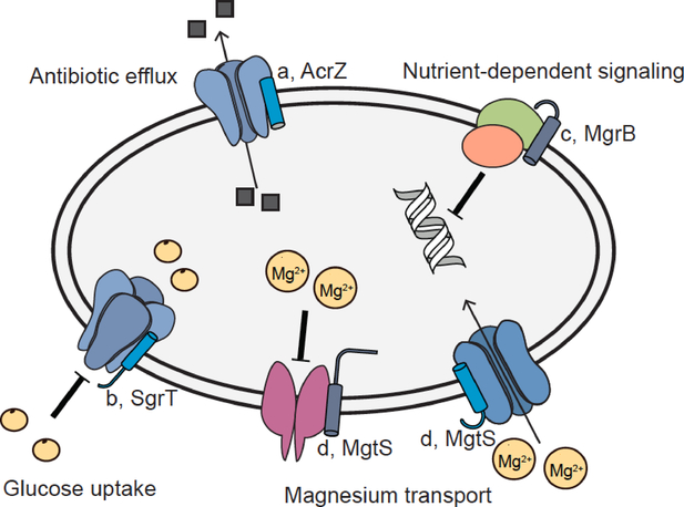 Figure 2.