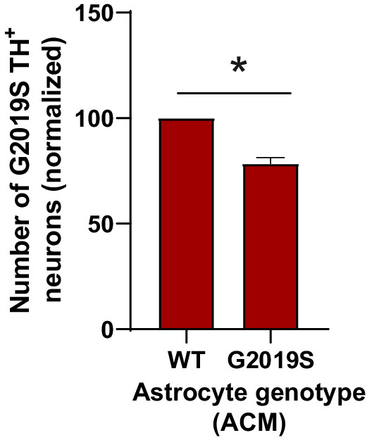 Figure 9—figure supplement 1.