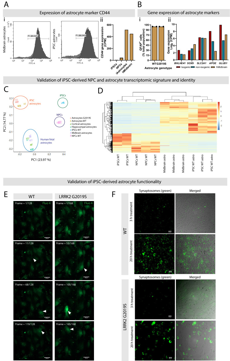 Figure 1—figure supplement 2.