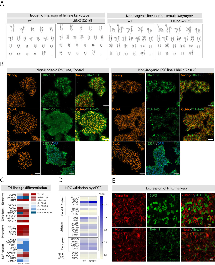 Figure 1—figure supplement 1.