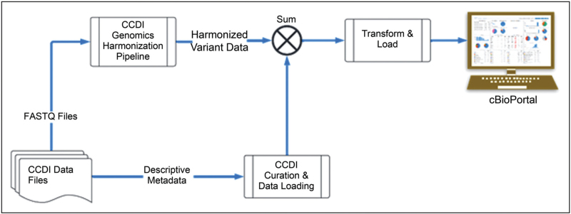 FIGURE 1