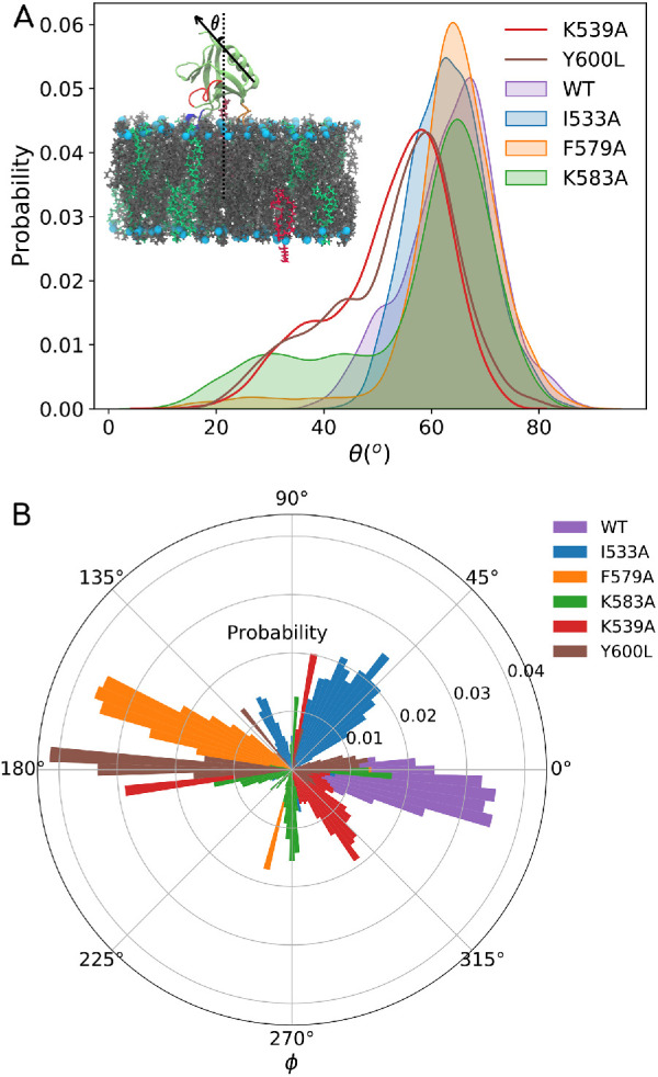 FIGURE 7: