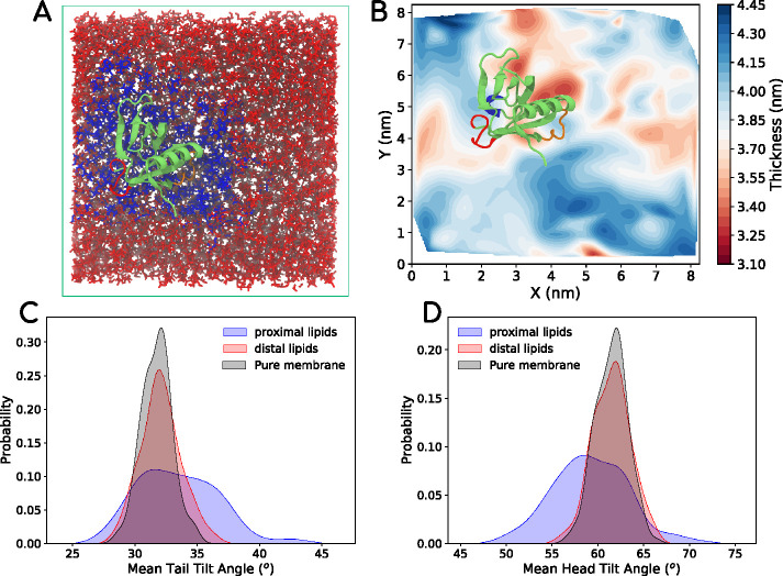 FIGURE 3: