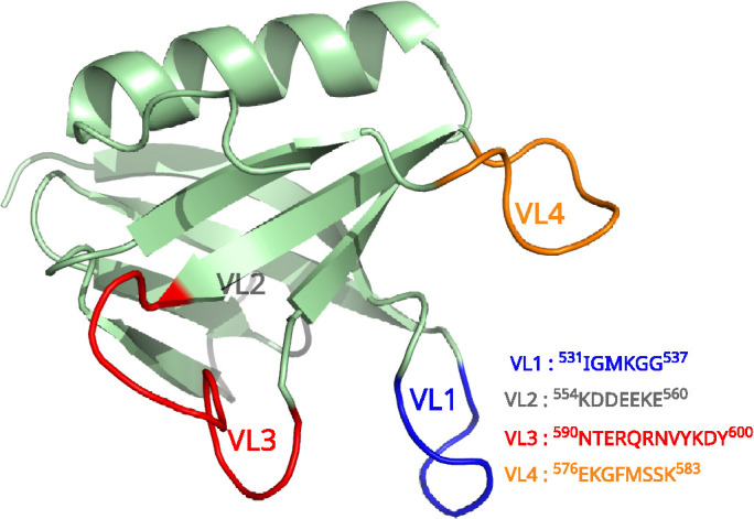 FIGURE 1: