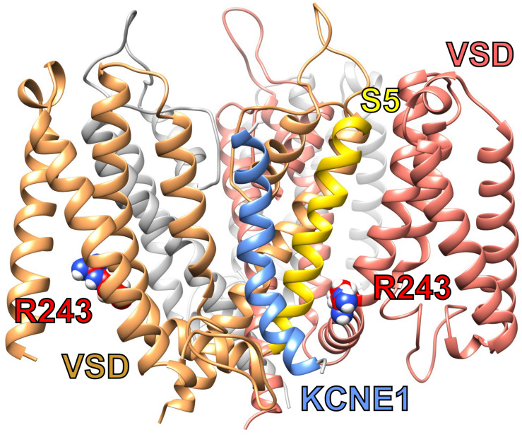 FIGURE 3