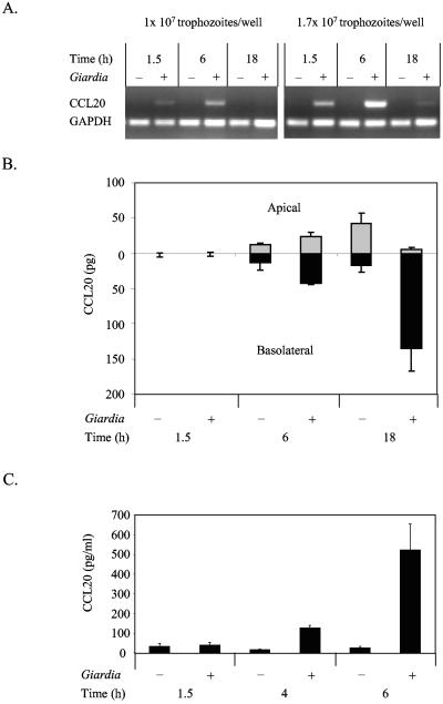 FIG. 3.