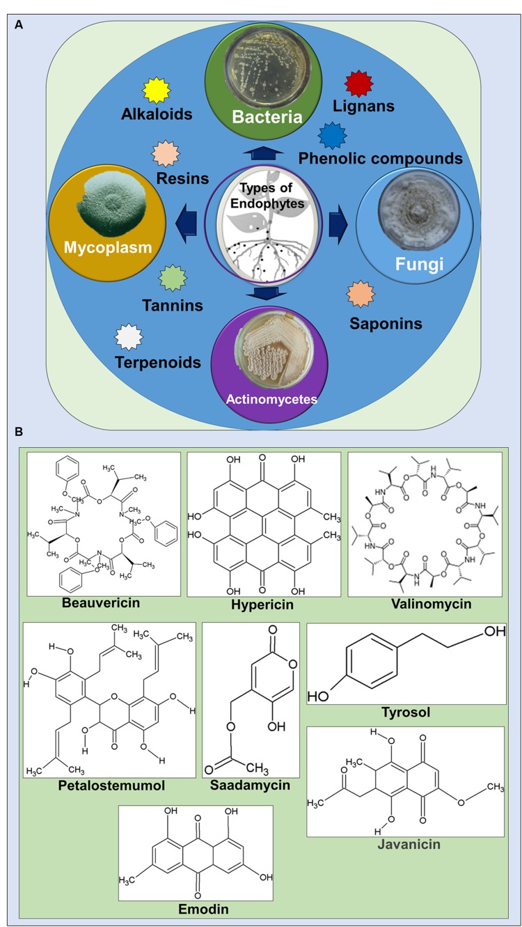 FIGURE 1