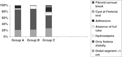 Chart 12