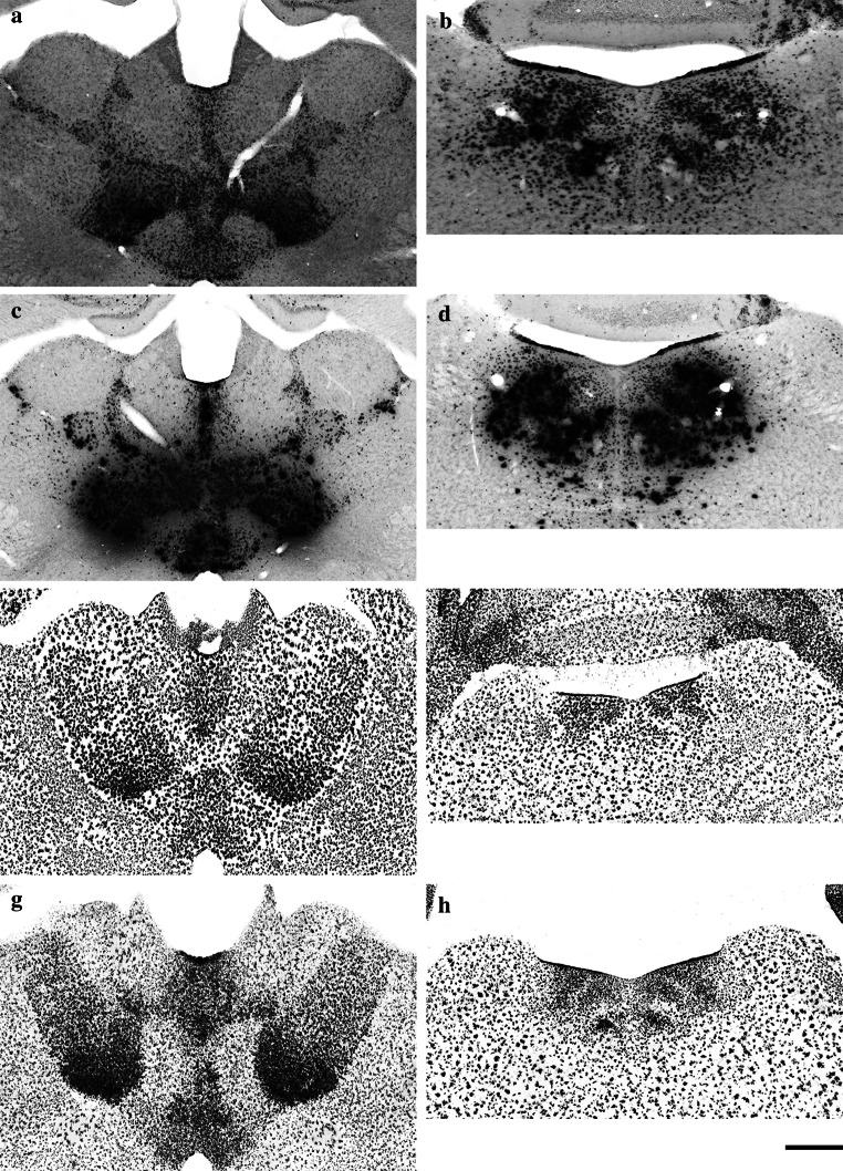 Fig. 6