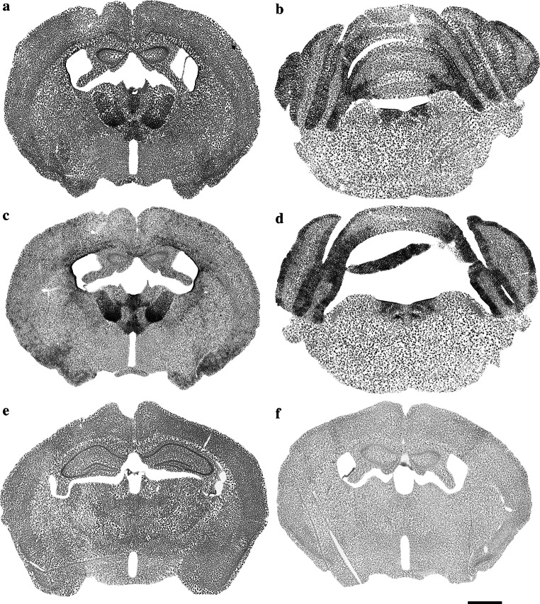 Fig. 7