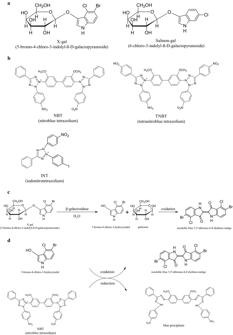 Fig. 1