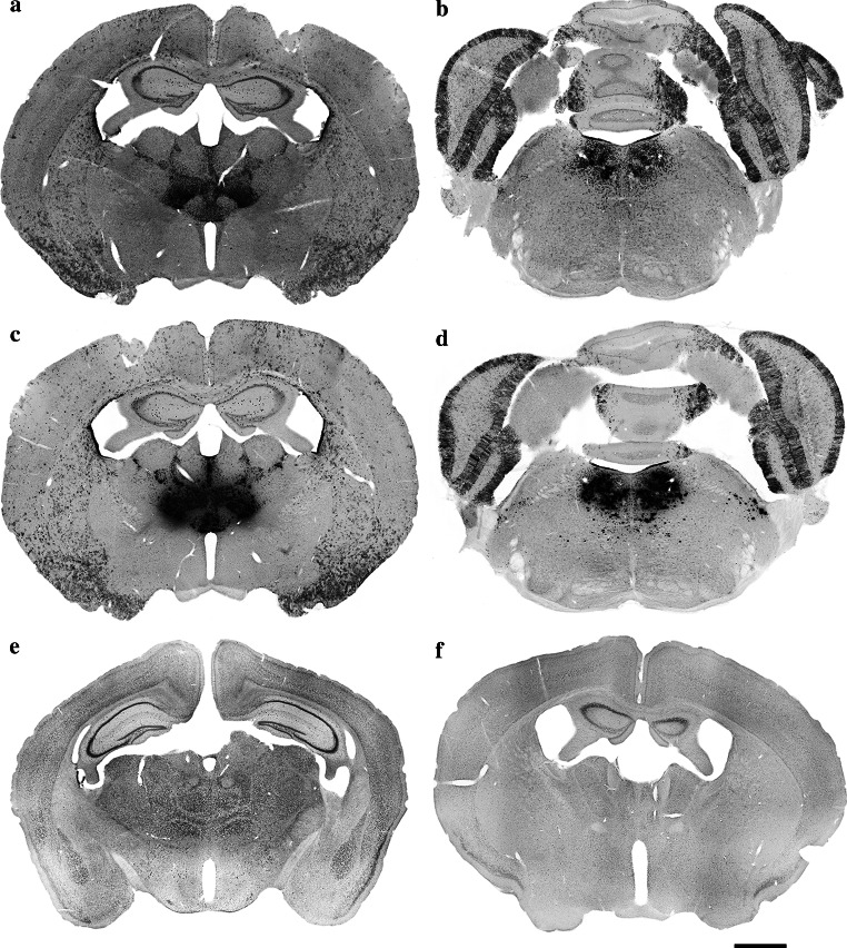 Fig. 5