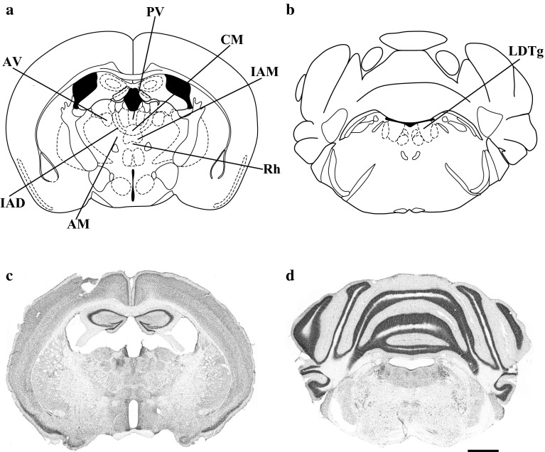 Fig. 2