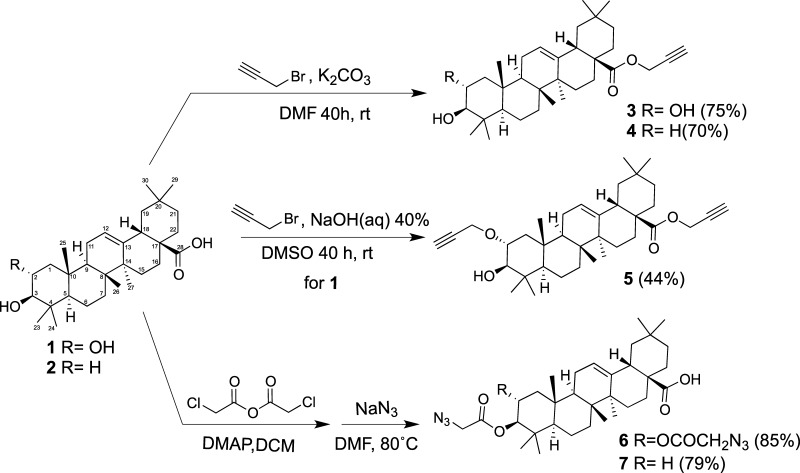 Scheme 1