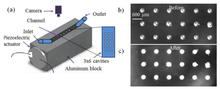 Figure 37