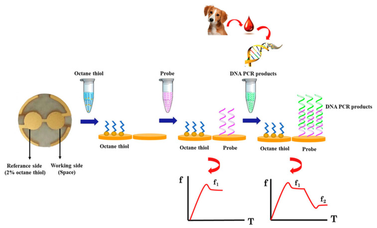 Figure 13