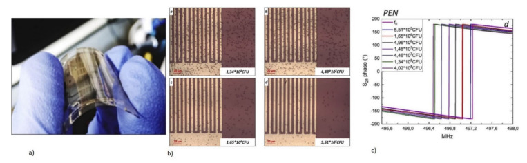 Figure 35