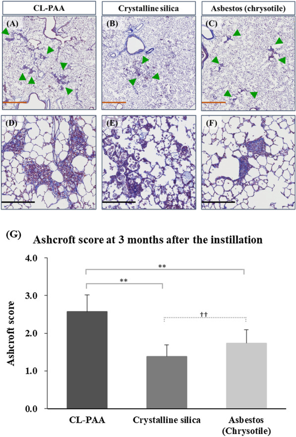 Fig. 11