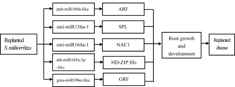 Fig 5