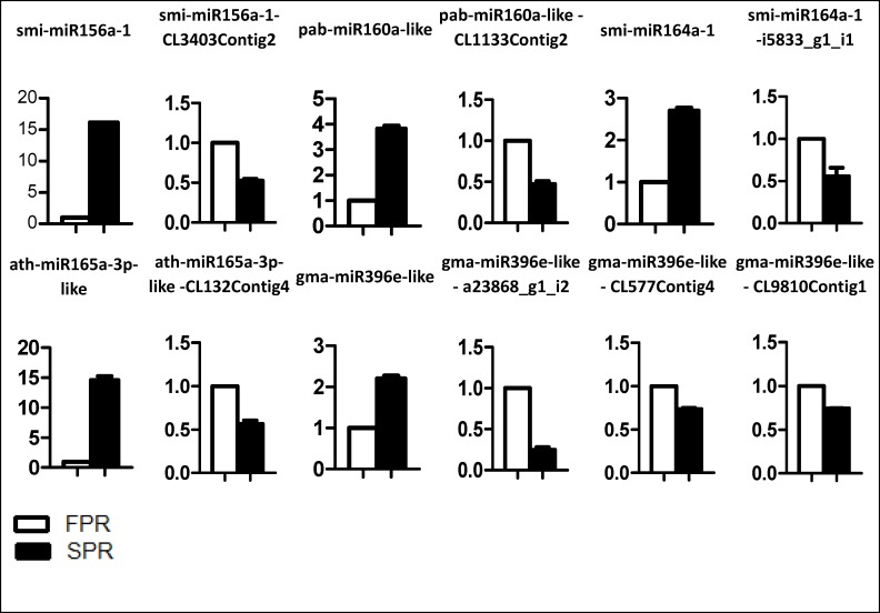 Fig 4