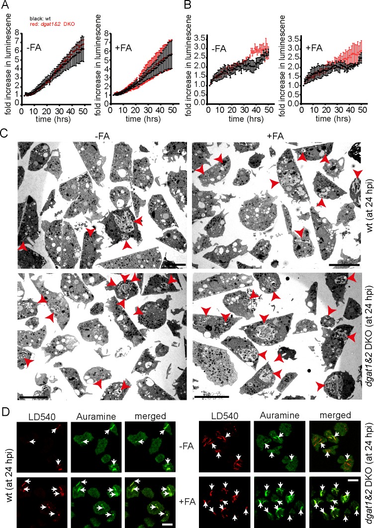 Fig 10