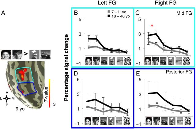 Figure 6.